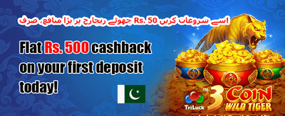 دوست کو لائیں، بونس پائیں 🤝 promotion